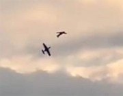 تشابك طائرتين في الجو ينتهي بسقوطهما على الأرض ومصرع طياريهما (فيديو)