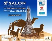 40 دولة تلتقي في المهرجان الدولي الثاني للإبل في فرنسا