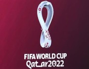 الإمارات تستضيف مليون مشجع من جماهير كأس العالم ومعسكرات عدة منتخبات