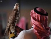 التسليم فوري للسلاح بمعرض الصقور والصيد السعودي الدولي