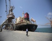 الحكومة اليمنية: لا قيود من جانبنا على دخول سفن المشتقات النفطية إلى الحديدة