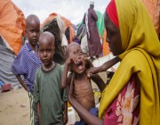 تحذير أخير من الأمم المتحدة: الصومال على حافة مجاعة مدمرة