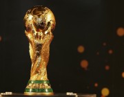 تقارير: المملكة تستعد لتقديم ملف ثلاثي لاستضافة كأس العالم 2030