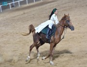 جمعية فُرسان لقفز الحواجز بجازان تنظم عروضاً استعراضية للخيول العربية