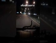 سائق تايلاندي يفاجأ بثعبان على زجاج سيارته الأمامي أثناء القيادة