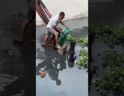 فيتنامي يصعد على شيول لإنقاذ كلب من الغرق