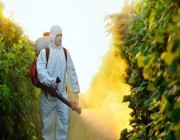 “الغذاء والدواء” تقدم عدة نصائح مرتبطة بالملابس الواقية من المبيدات