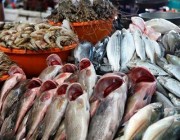 “الزكاة والجمارك” توضح مدى إمكانية استيراد الأفراد الأسماك من دول الخليج