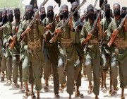 الحكومة الصومالية تعلن مقتل أحد مؤسسي حركة الشباب المتشددة