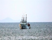 سفينة كورية شمالية تتوغل بحدود جارتها الجنوبية.. والأخيرة تطلق أعيرة تحذيرية