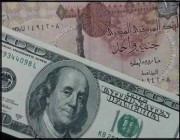 الجنيه المصري يتراجع لأدنى مستوى في تاريخه.. والحكومة تدفع بـ67 ملياراً للحماية الاجتماعية