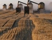 رداً على هجمات القرم.. روسيا تُعلق المشاركة في اتفاق صادرات الحبوب الأوكرانية