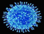 أسباب اختلاف تأثيرات الفيروسات على الجسم