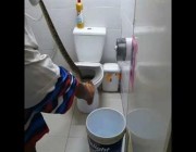 إخراج ثعبان ضخم من فتحة مرحاض في تايلاند
