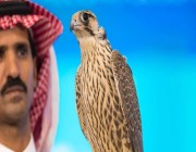 بيع صقرين في الليلة الـ 19 لمزاد نادي الصقور السعودي