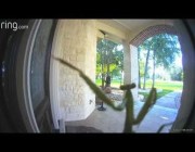 حشرة تداعب كاميرا مراقبة على باب أحد المنازل