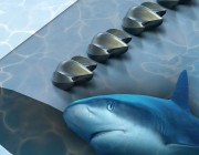 سويسرا: جلد سمك القرش يحد من استهلاك وقود الطائرات
