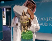 مبيعات مزاد نادي الصقور السعودي تتجاوزُ حاجزَ المليوني ريال