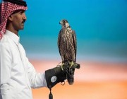 مبيعات مزاد نادي الصقور السعودي تصل إلى 6.5 مليون ريال