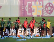 الأخضر يواصل تحضيراته استعداد لمواجهة الأرجنتين في كأس العالم