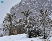 بسبب “المنخفض القبرصي”.. الأرصاد: تبوك على موعد مع تساقُط الثلوج (صور)