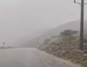 أمطار غزيرة وسيول جنوب «العقيق» (فيديو)