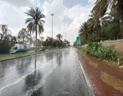 أمطارٌ على مراكز منطقة تبوك