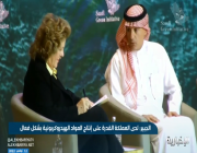 الجبير: السعودية نجحت في الإدارة السياسية لهذا السبب (فيديو)