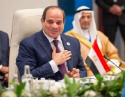 الرئيس المصري: مبادرة الشرق الأوسط الأخضر تجسد جدية الدول العربية في جهود مواجهة تغير المناخ