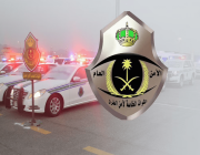 القوة الخاصة لأمن الطرق بمحافظة بيش تقبض على شخص لنقله مخالفين لنظام أمن الحدود