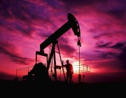 رغم السقف والعقوبات.. روسيا ترفع صادراتها النفطية 7 %