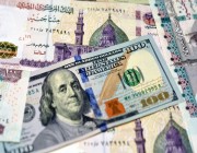 تحرك جديد في سعر الدولار مقابل الجنيه المصري