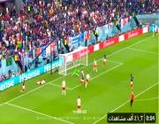 شاهد.. أهداف فرنسا والدنمارك بكأس العالم (2-1)