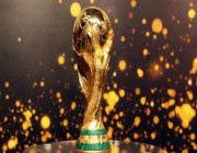 قناة مفتوحة تنقل 29 مباراة من كأس العالم 2022.. تعرف عليها