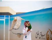 نادي الصقور السعودي يسدل الستار على سباق الملواح بتتويج 60 فائزاً