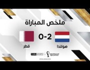 هدفا مباراة (هولندا 2-0 قطر)