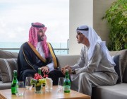 ولي العهد يلتقي سمو رئيس دولة الإمارات وذلك على هامش انعقاد قمة مجموعة العشرين