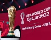 قطر تسمح لمواطني ومقيمي دول الخليج غير حاملي تذاكر المباريات الدخول إليها دون بطاقة هيّا