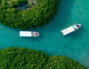 مرشد سياحي لـ”أخبار 24″: التاريخ والطبيعة يجذبان سياح أوروبا لجزر فرسان (فيديو)