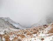 “أخبار 24” يرصد كثافة تساقط الثلوج على جبل اللوز في تبوك