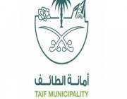 أمانة الطائف تُغلق 3 منشآت وتحرر 49 مخالفة للاشتراطات الصحية والبلدية
