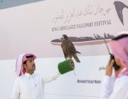 اختتام منافسات كؤوس المؤسس في مهرجان الملك عبدالعزيز للصقور