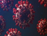 كوريا الجنوبية تسجل 25,667 إصابة جديدة بفيروس كورونا