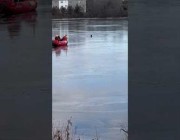 بصعوبة كبيرة.. إنقاذ كلب سقط في مياه متجمدة بولاية بنسلفانيا