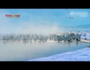 سرب من البجع يستمتع بوقت فراغه على بحيرة ثلجية شرق الصين