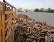ضبط 10 مخالفين لنظام البيئة في عدد من مناطق المملكة بحوزتهم حطب محلي معروض للبيع