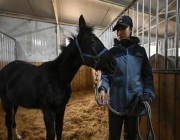 من سلالة “ذوات الدم الحار”.. الصين تقدم أول حصان مستنسخ