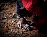علماء يستخرجون حفريات لديناصورات غير مألوفة في تشيلي
