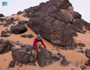 العثور على فؤوس حجرية من الطبيعة أثناء رحلة قلب الجزيرة العربية