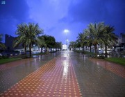 أمطار متوسطة إلى غزيرة على منطقة المدينة المنورة